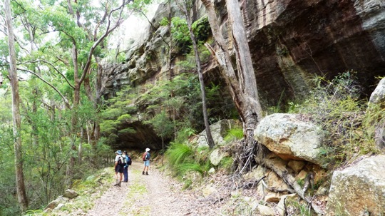 Dunns Swamp Walk 3